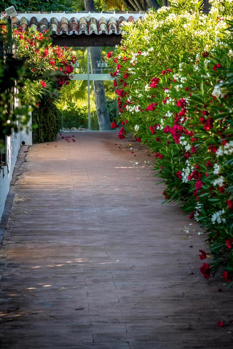 Marbella Banus Suites - Lily Playas Del Duque Banus Beach Apartment Eksteriør billede